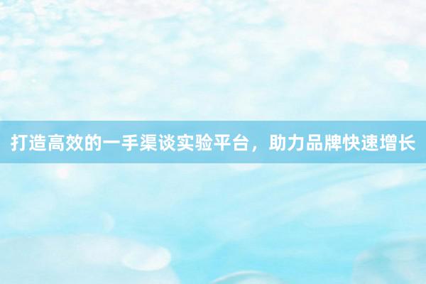 打造高效的一手渠谈实验平台，助力品牌快速增长