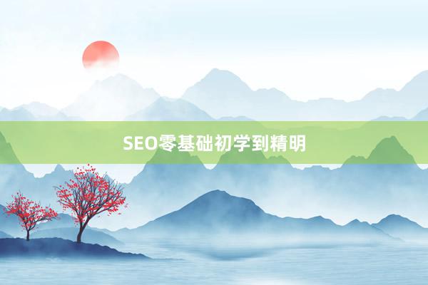 SEO零基础初学到精明